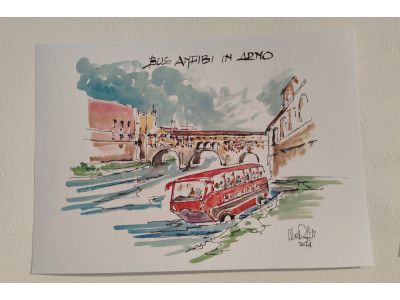 Anteprima