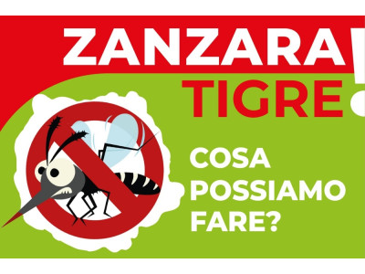 Anteprima
