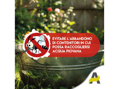 Anteprima