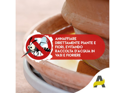 Anteprima
