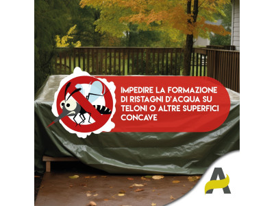 Anteprima
