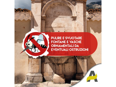 Anteprima