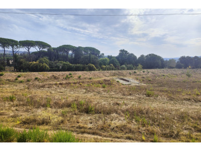 Anteprima