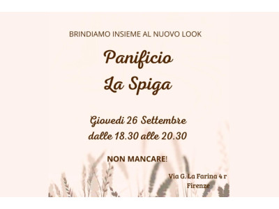 Anteprima