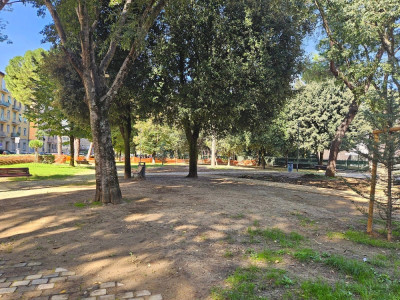 Anteprima
