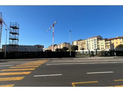 Anteprima