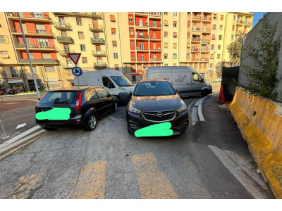 Anteprima