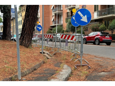 Anteprima