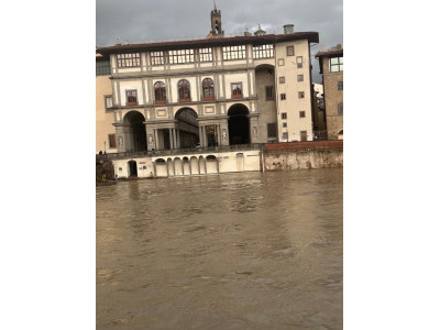 Anteprima