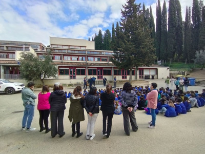 Anteprima