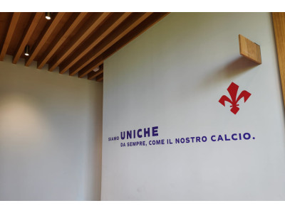 Anteprima