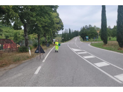 Anteprima