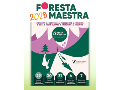 Anteprima