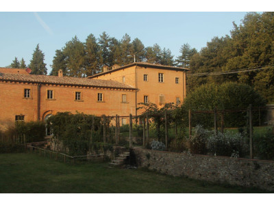 Anteprima