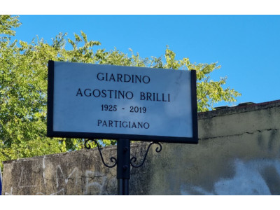 Anteprima