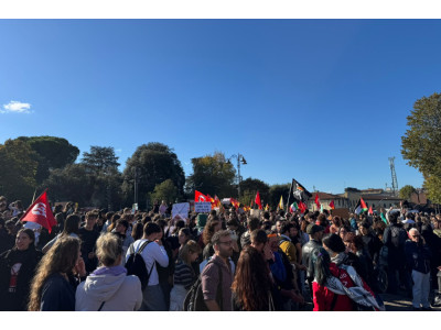 Anteprima