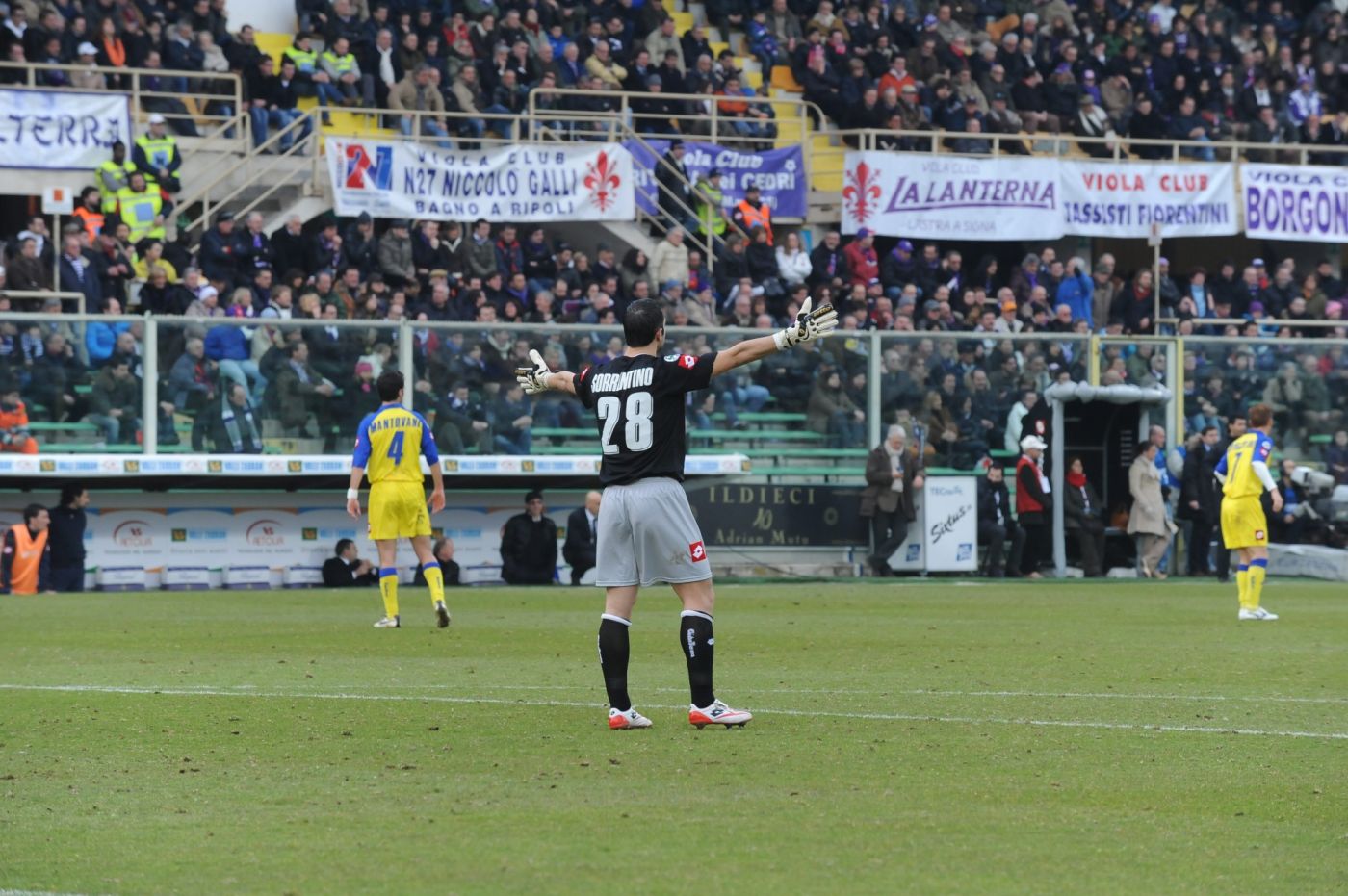 Fiorentina, Sorrentino elogia Belotti: 