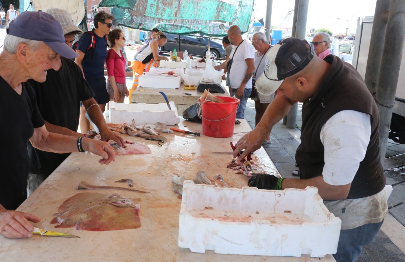 Pesce, l'Italia importa l'80% del fabbisogno: l'acquacoltura nazionale a caccia di rilancio