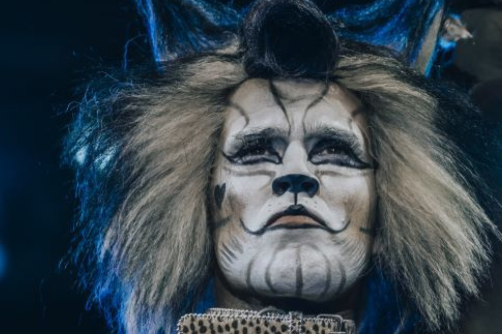 Il musical Cats in scena al teatro Verdi di Firenze