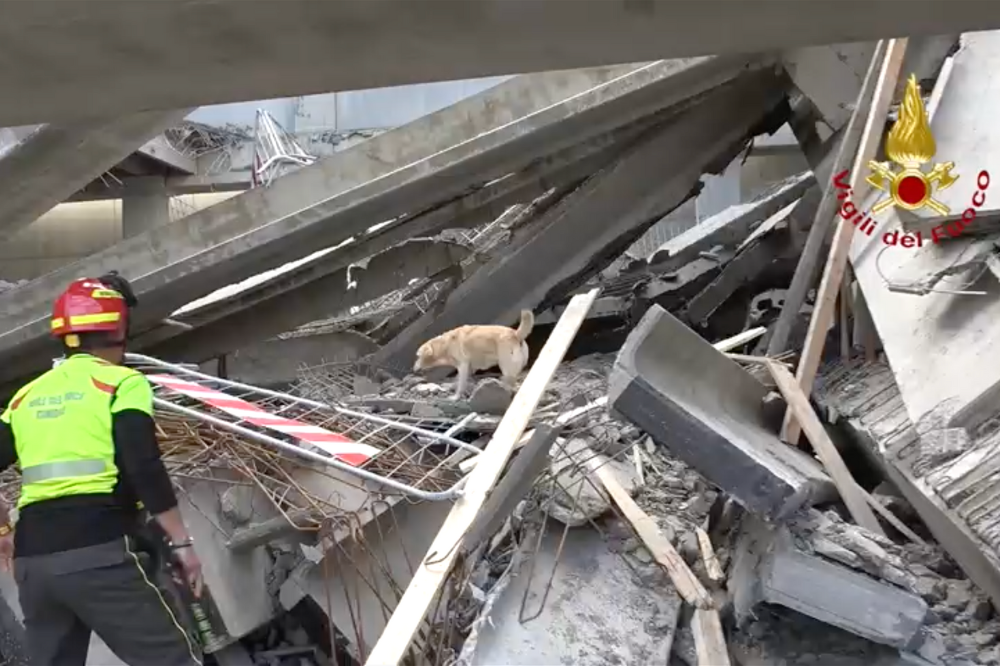 [VIDEO] Crollo Firenze, proseguono senza sosta le operazioni soccorso