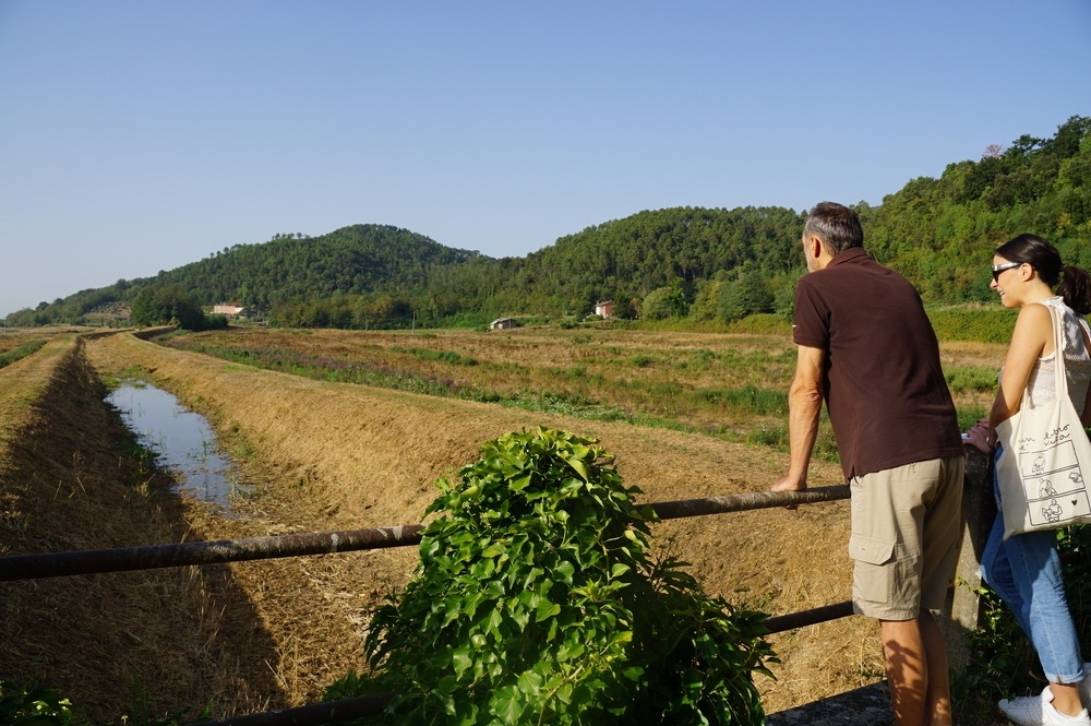 Incontro di Cia Toscana con Giani e Saccardi sulla crisi dell'agricoltura