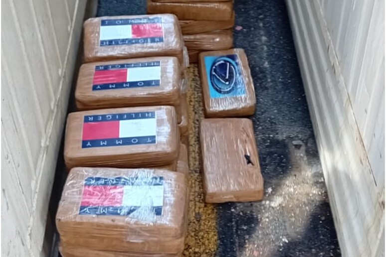 Sequestrati 55 chili di cocaina sul porto di Livorno: tre arresti 