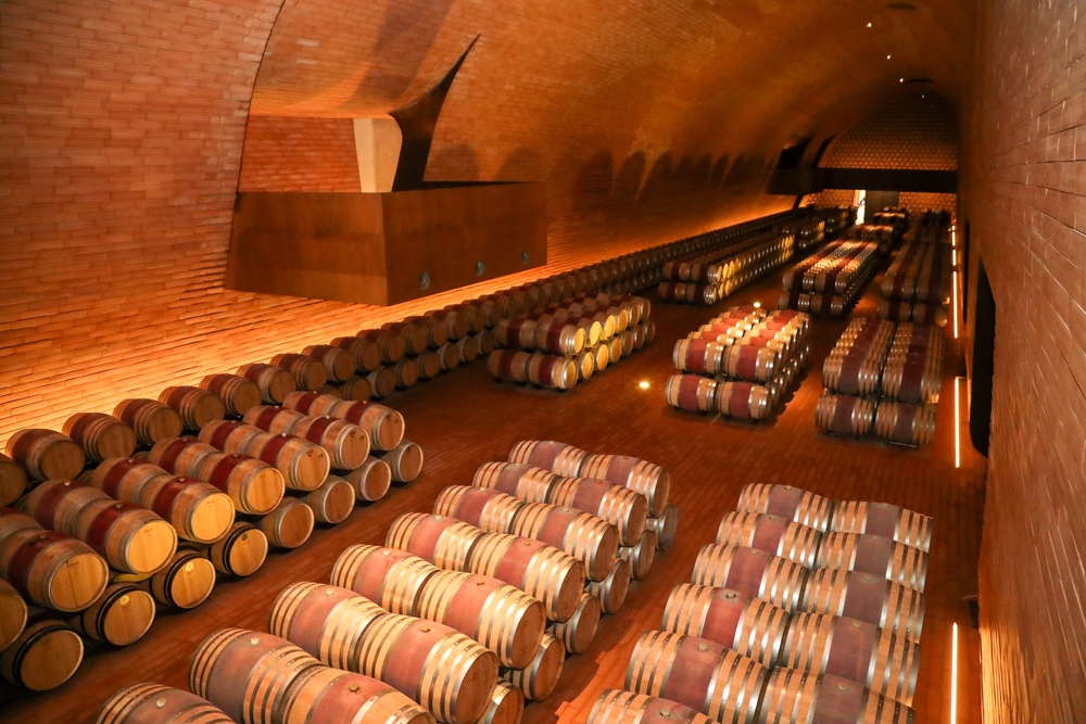 Vino: al via evento “Vitae, 10 anni di Eccellenze toscane”