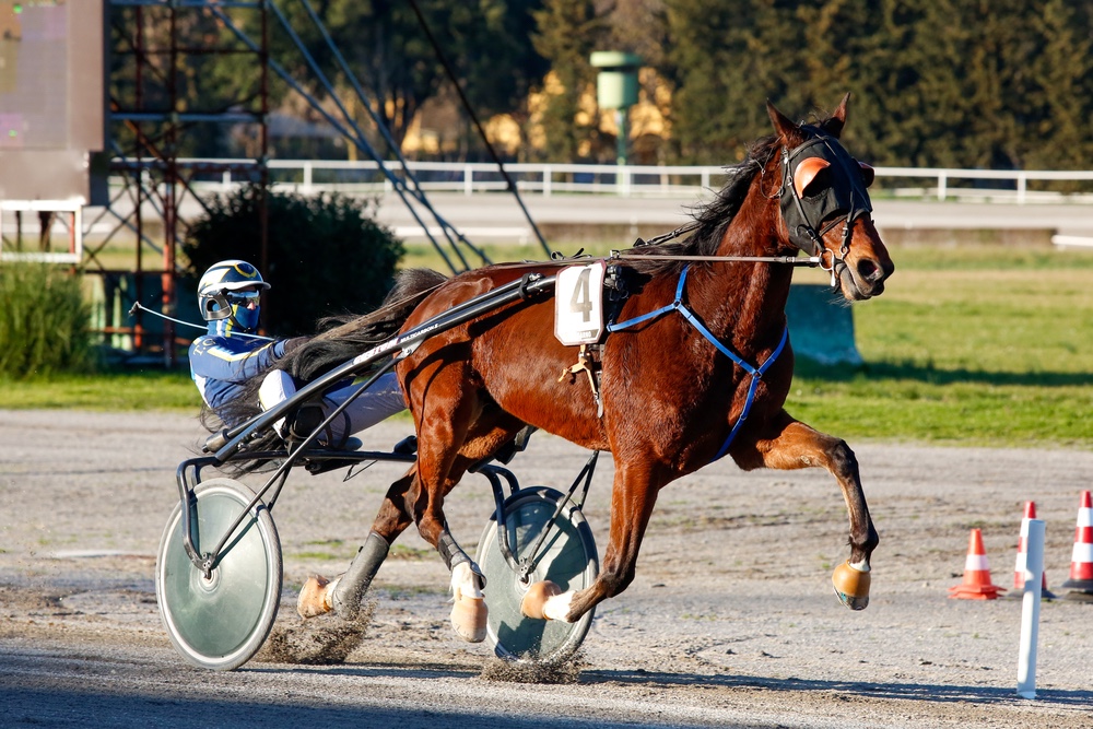 Trotto show, ecco il Gp Etruria al Visarno