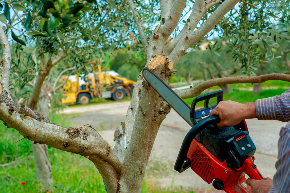 Tragica morte sul lavoro. Muore dopo essersi ferito con la motosega