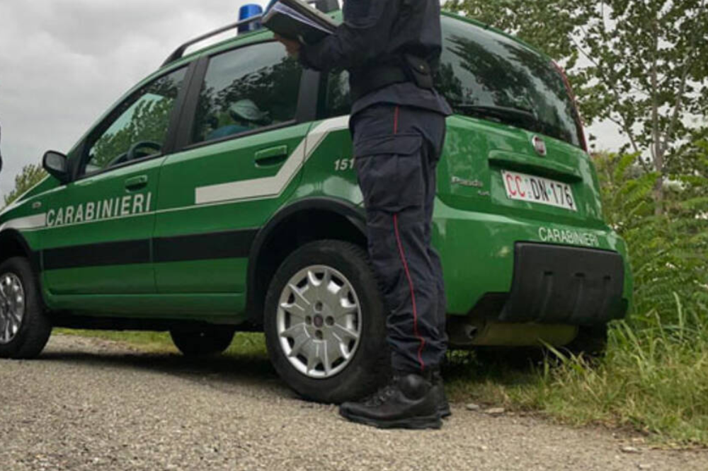 Sequestrata un'autocarrozzeria abusiva a Campi Bisenzio