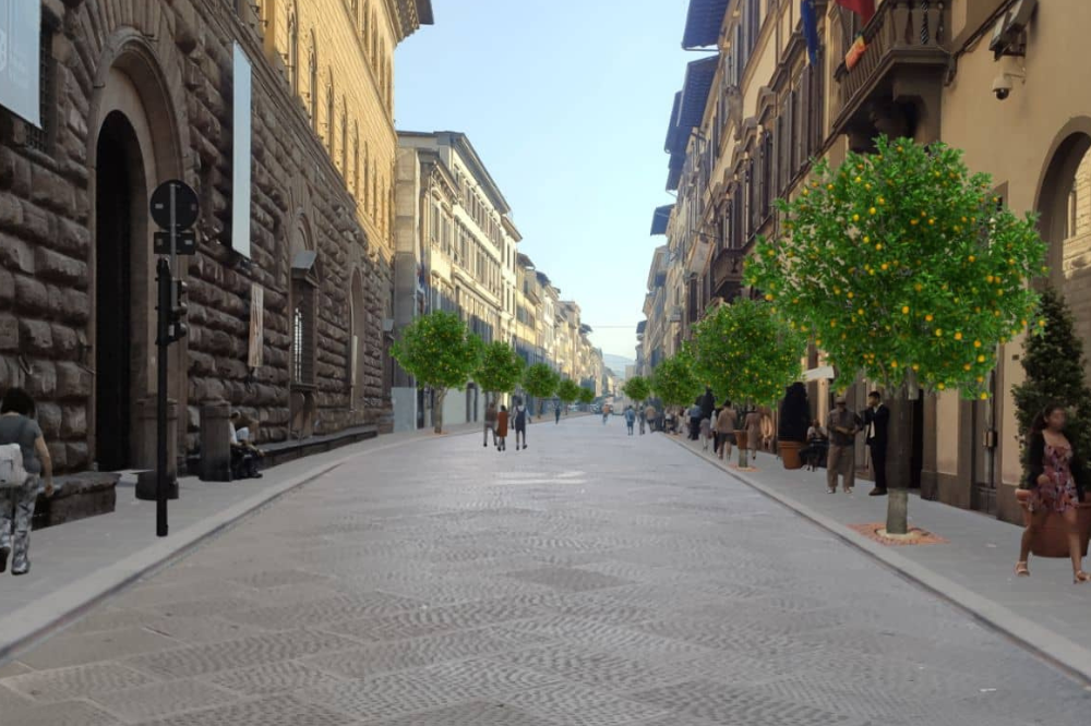 Commercio, Nardella: 