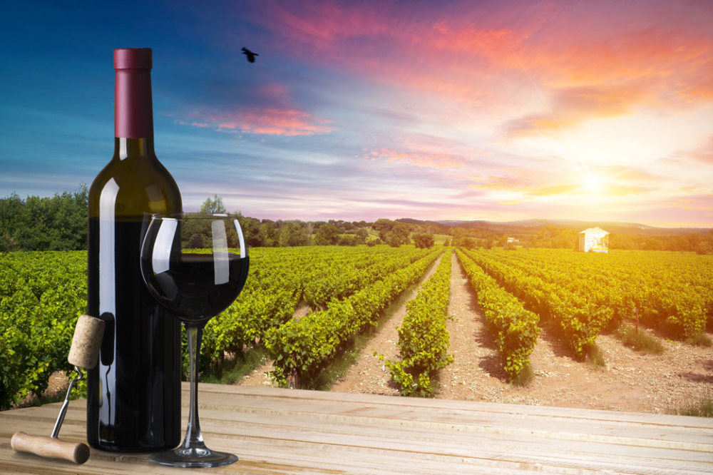 Al Buywine Toscana incontro tra 240 cantine e 200 buyer