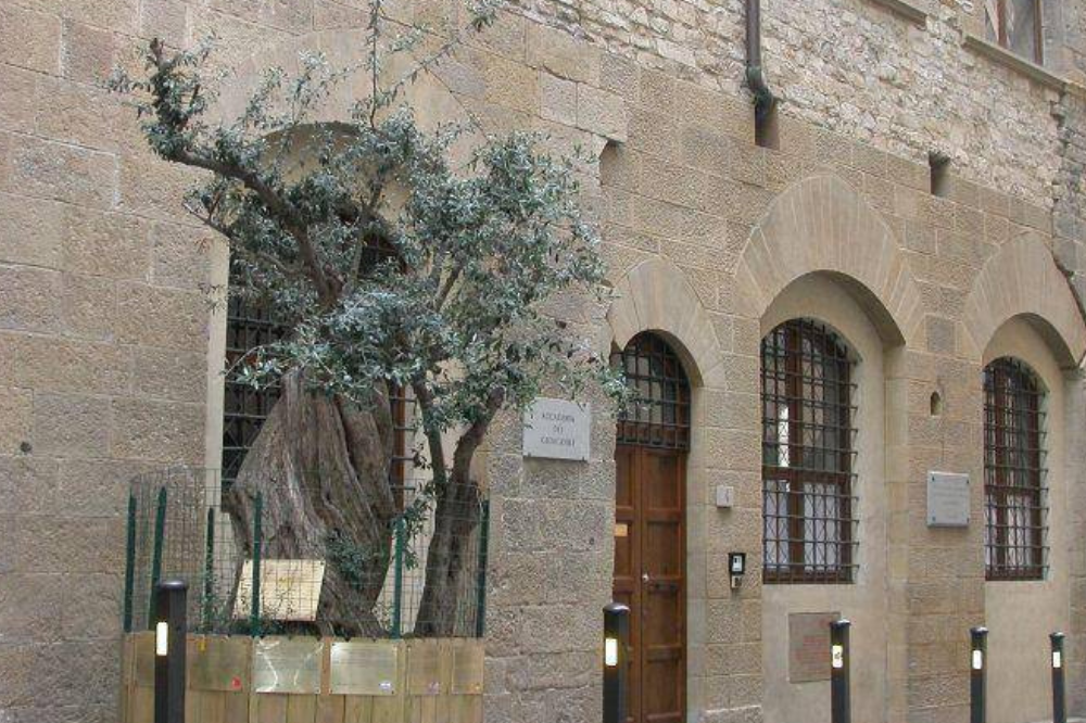 Accademia dei Georgofili inaugura il suo 271/o anno accademico