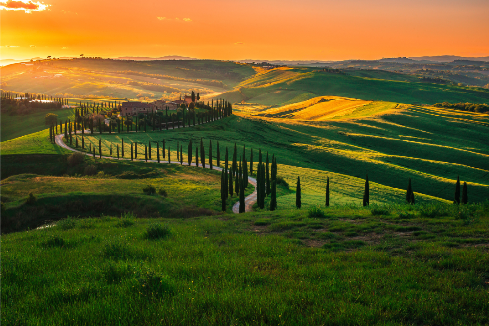 Turismo, Confagricoltura Toscana: “Per il ponte del 25 aprile l'80% degli agriturismi quasi al completo”