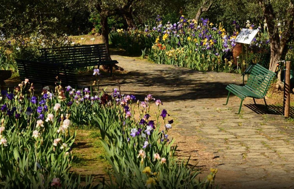 Giardino dell'iris di Firenze apre il 25 aprile al Piazzale Michelangelo
