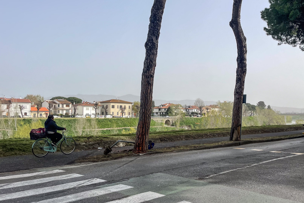 Lungarno Santa Rosa, la rabbia dei residenti: “Così distruggono il verde”
