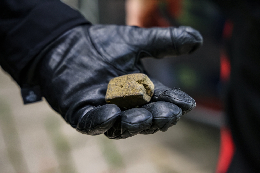 Droga in casa coltivata e conservata: perquisizione a Certaldo