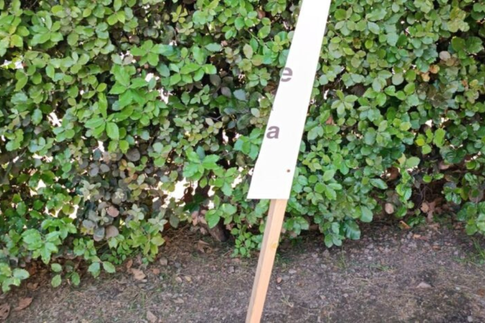 Vandalizzato pannello contro la violenza sulle donne in piazza Donatello