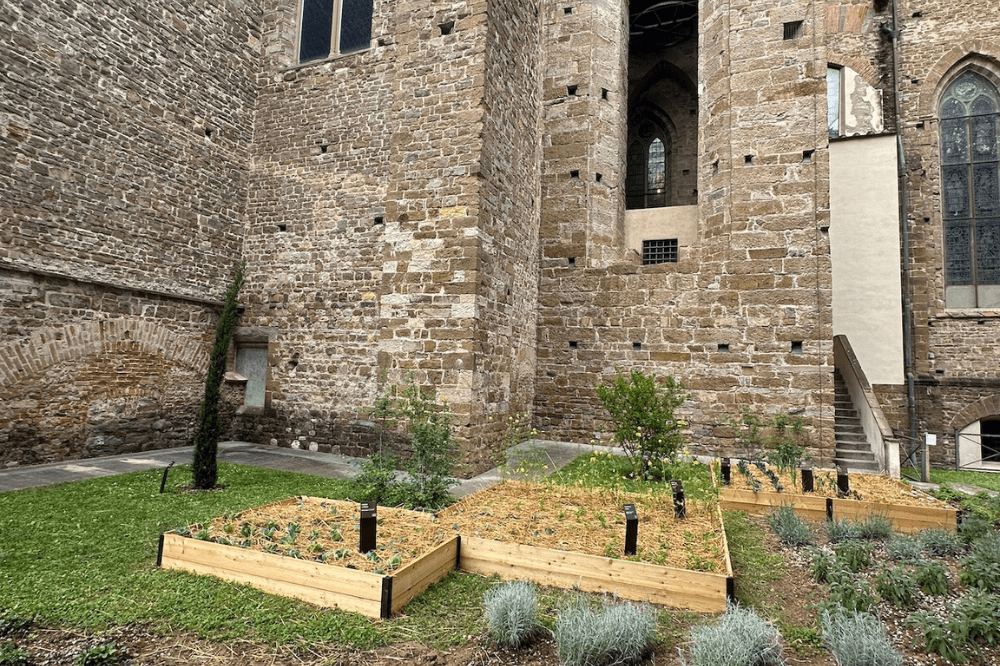 Firenze, in Santa Croce rinasce l'Orto di San Francesco
