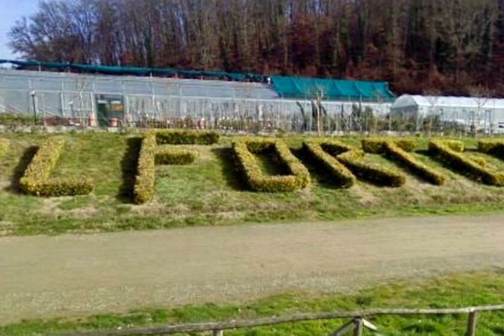 Vittima Forteto, “Avvocatessa come fa a candidarsi?“