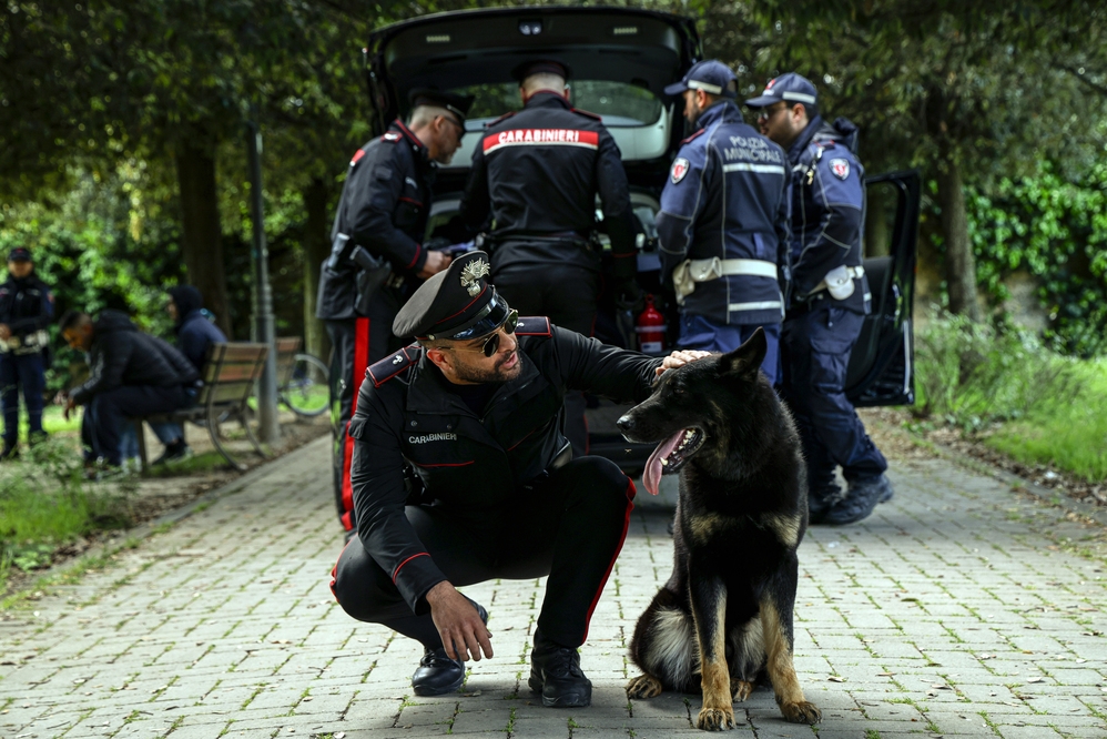 Poliziotto porta fuori il cane e scopre due etti di cocaina nascosti: l'accaduto 
