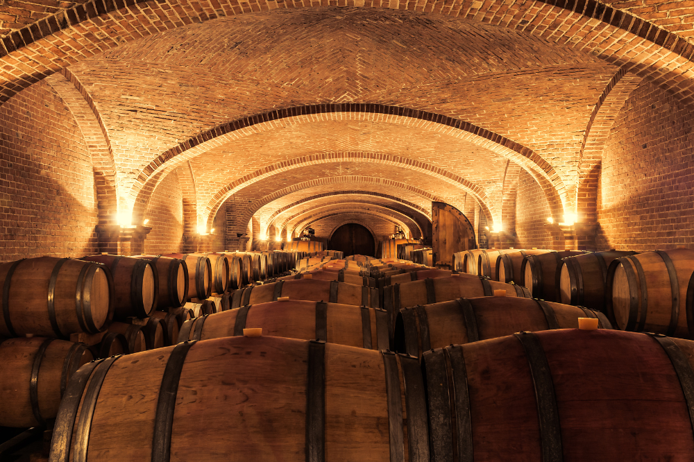 Cantine aperte in Toscana, decine di appuntamenti