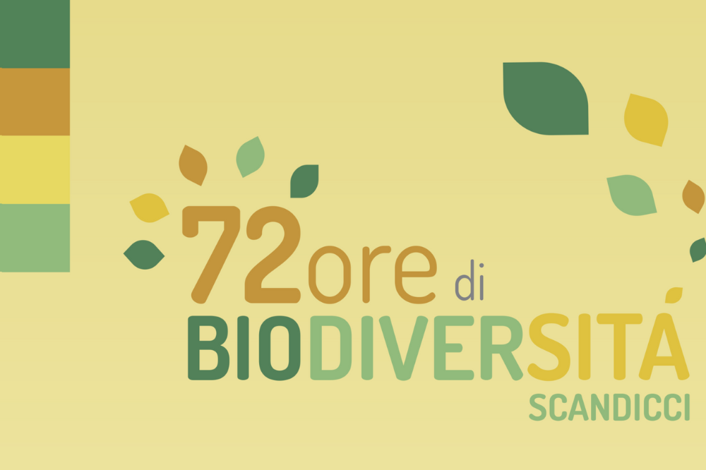 Giornata della biodiversità, a Scandicci torna “72 ore di biodiversità”