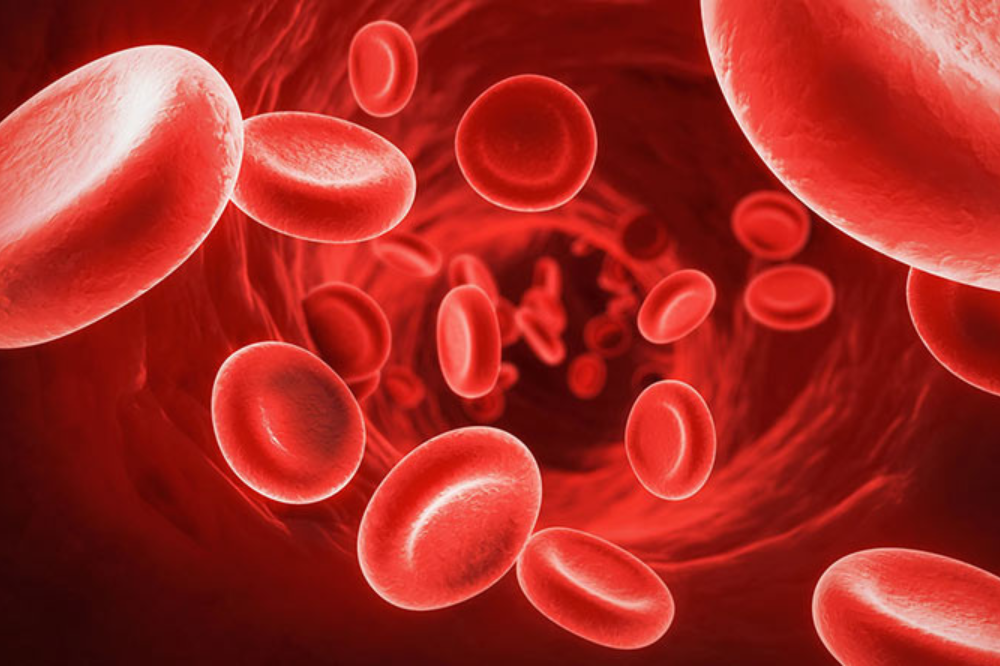 Giani: “50 anni Ail, Toscana in prima linea contro leucemie“