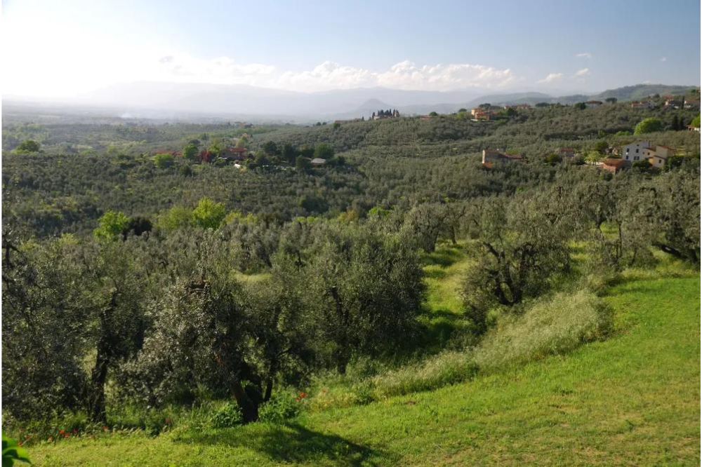 A Vinci residenti contro urbanizzazione di una collina