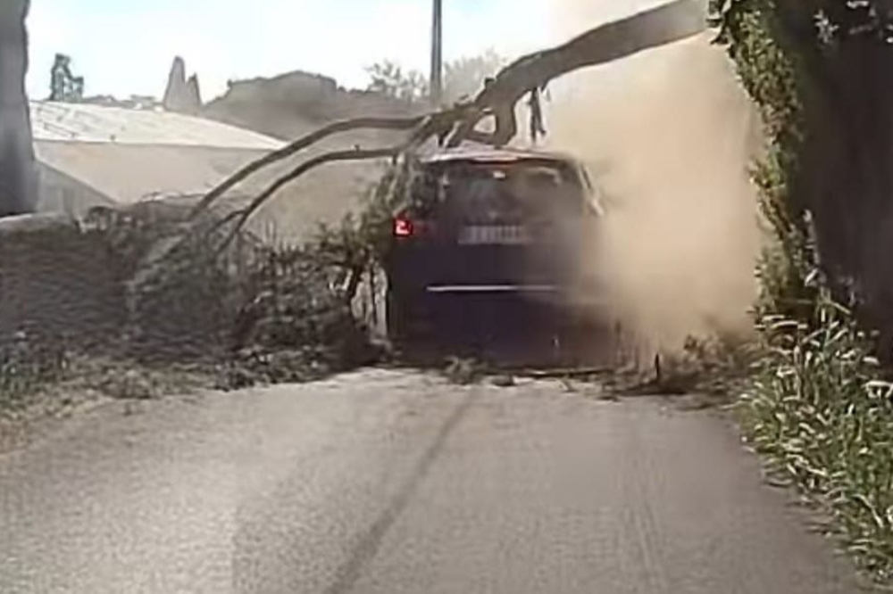 Paura a Careggi, cade un albero in strada