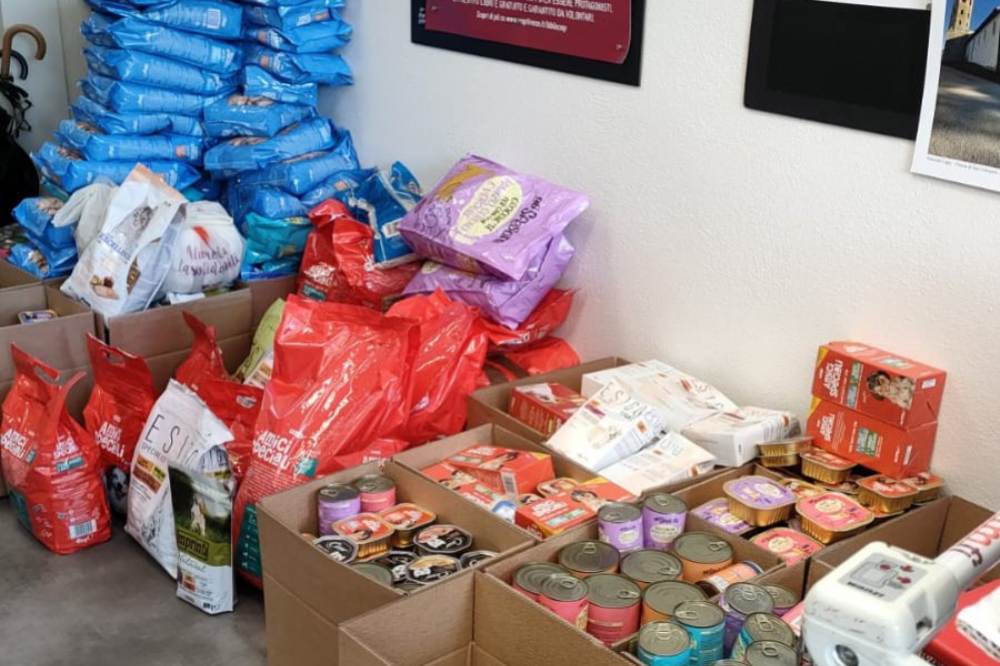 Una giornata dedicata alla raccolta alimentare per cani e gatti