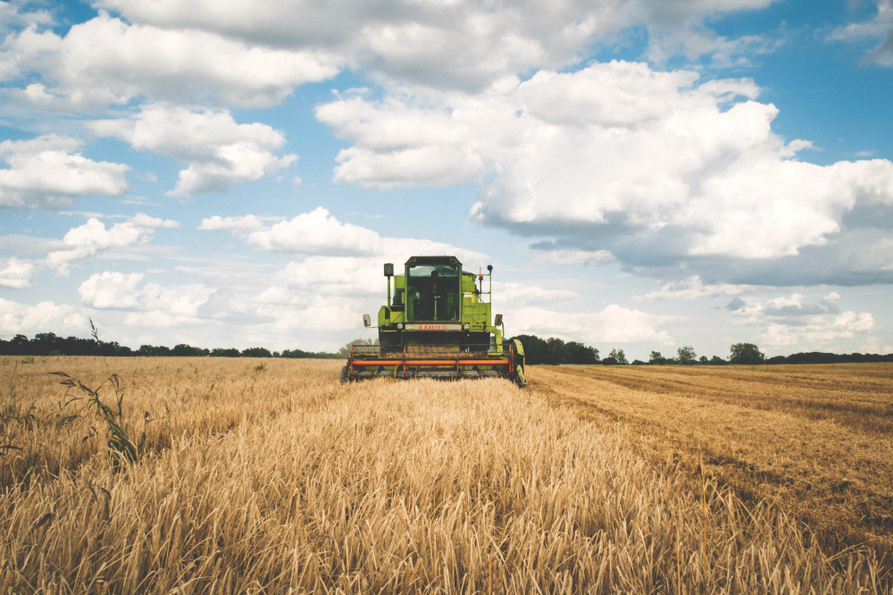 Agricoltura, Regione Toscana: “Maggiori risorse ai bandi più richiesti”