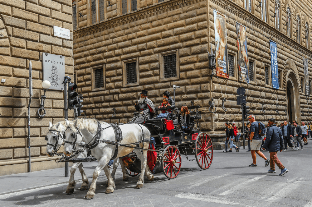 In difesa della salute dei cavalli fiorentini