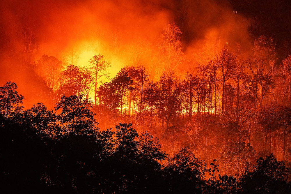 Rischio incendi nell'Empolese Valdelsa  